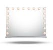 Large Vanity Mirror With Lights And Bluetooth Speakers Dimmable LED Lights With 10 Times Magnification USB Port for Woman Makeup